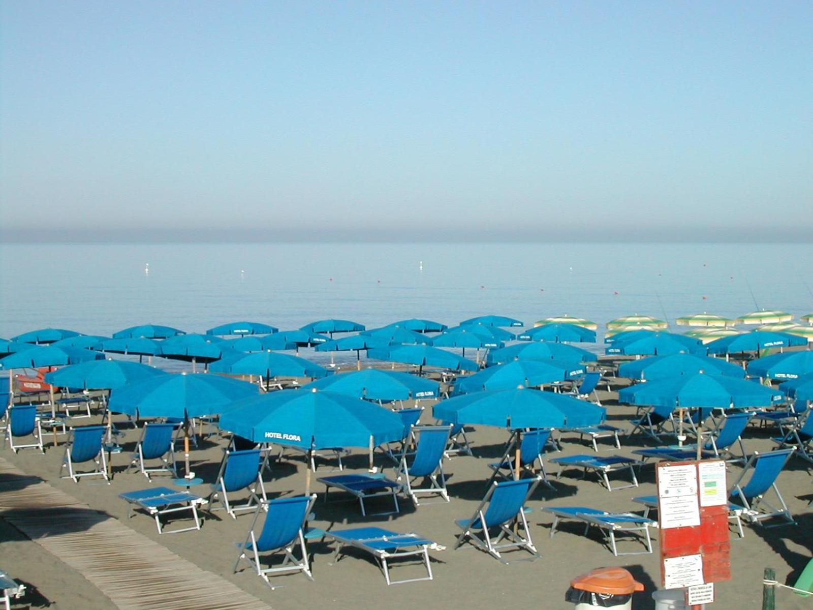 Flora Marina Di Bibbona