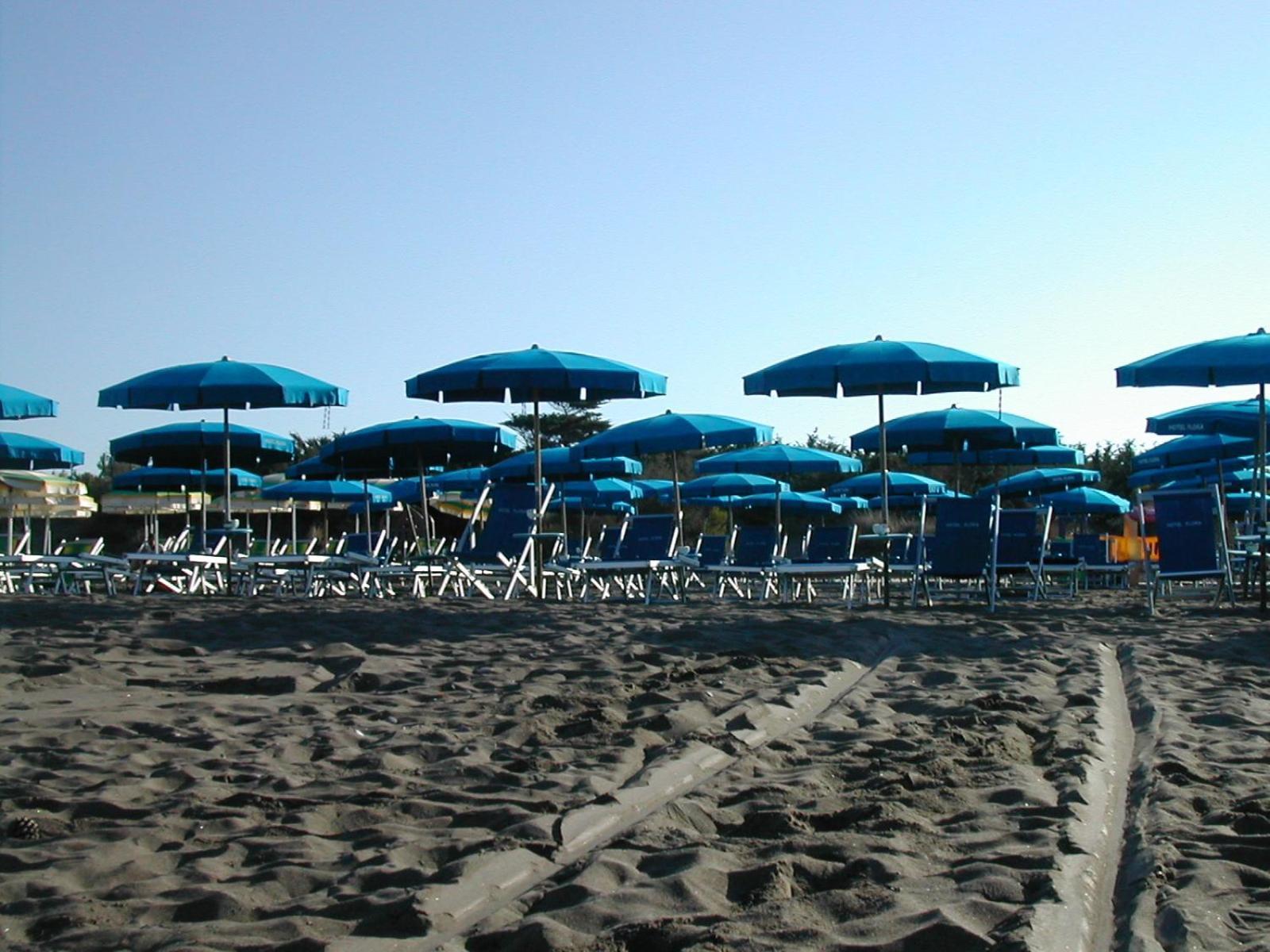 Flora Marina Di Bibbona